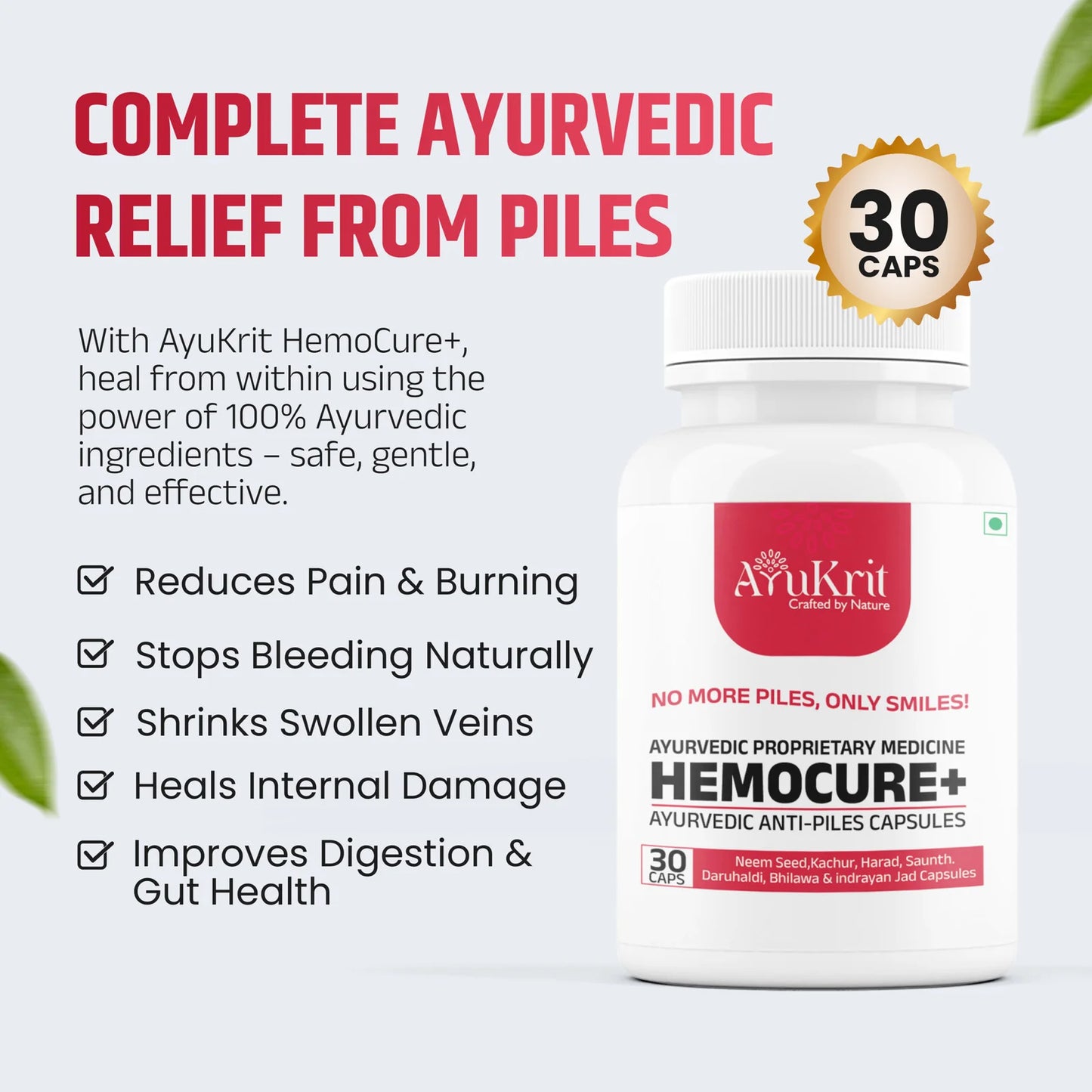 AyuKrit HemoCure+ 1 Month Pack (2 Bottles – 60 Capsules)