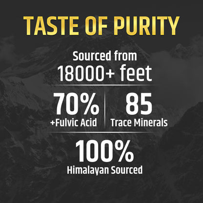 AyuKrit Pure Himalayan Shilajit